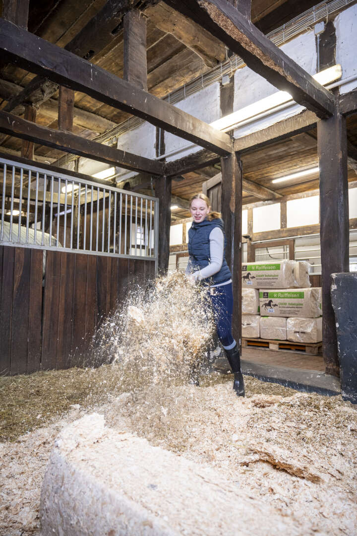 KANTRIE Hobelspäne Champ